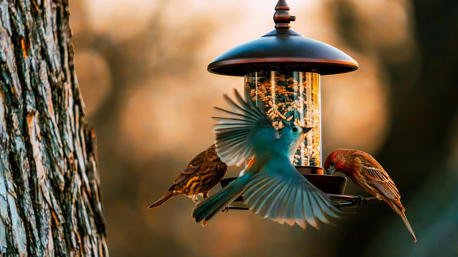Bring Birds to Your Garden: Modern Bird Feeders That Double as Outdoor Art Under $35