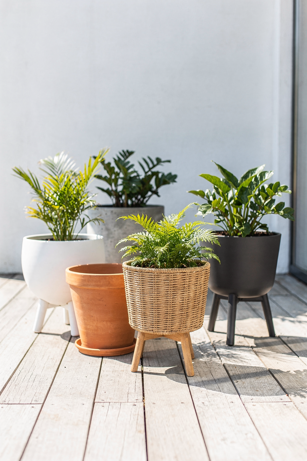 Elevate Your Garden: 5 Planter Styles That Transform Any Outdoor Space