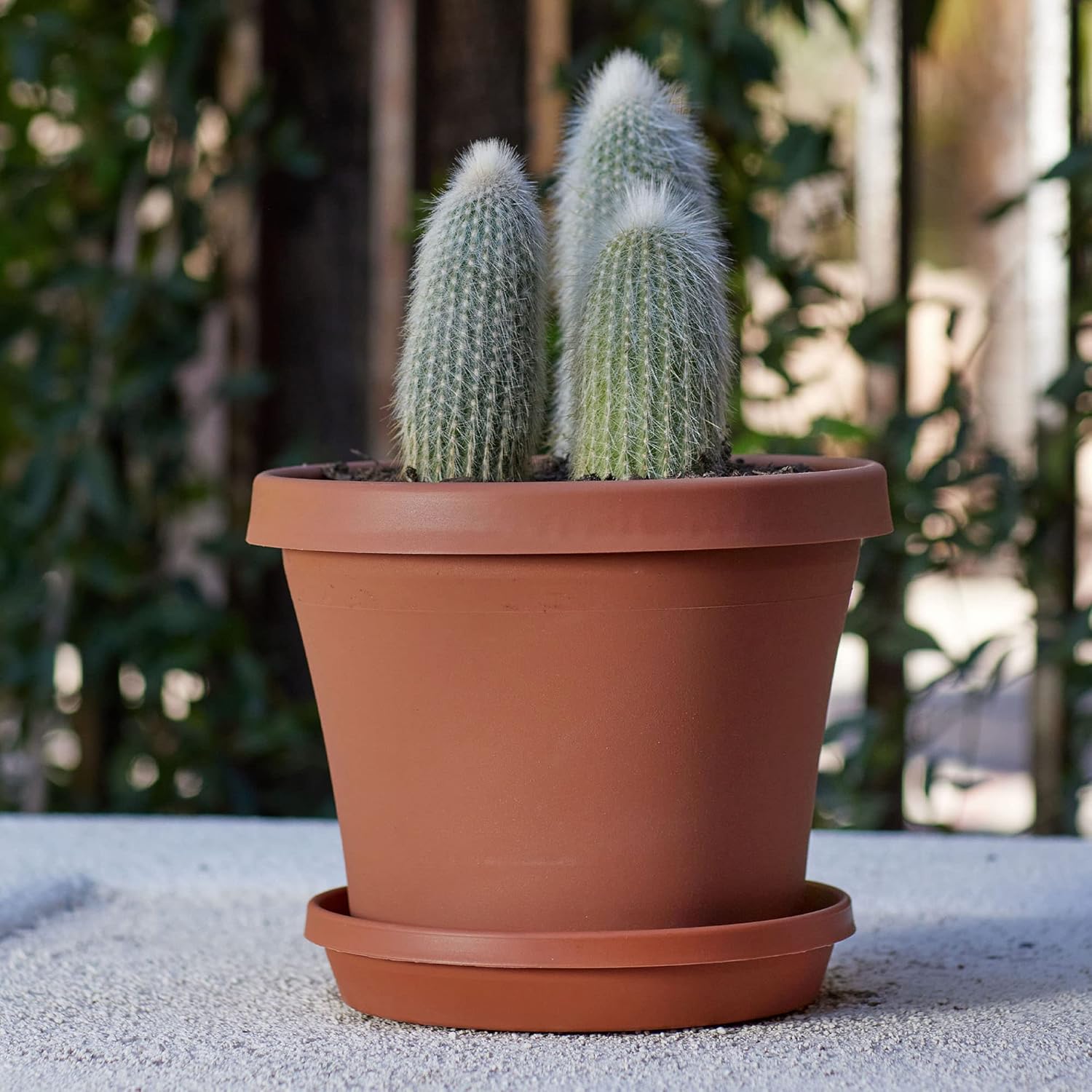 Garden Ready: 5 Planter Styles to Refresh Your Spring Entryway