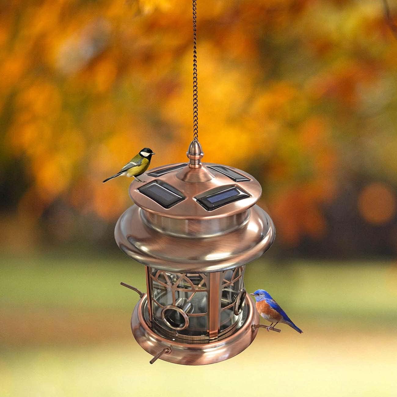 Gold Bird Feeders for a Glam Garden: 6 Ways to Style Them This Fall